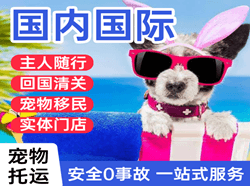 昌都邦达航空邮寄国际宠物托运 【国